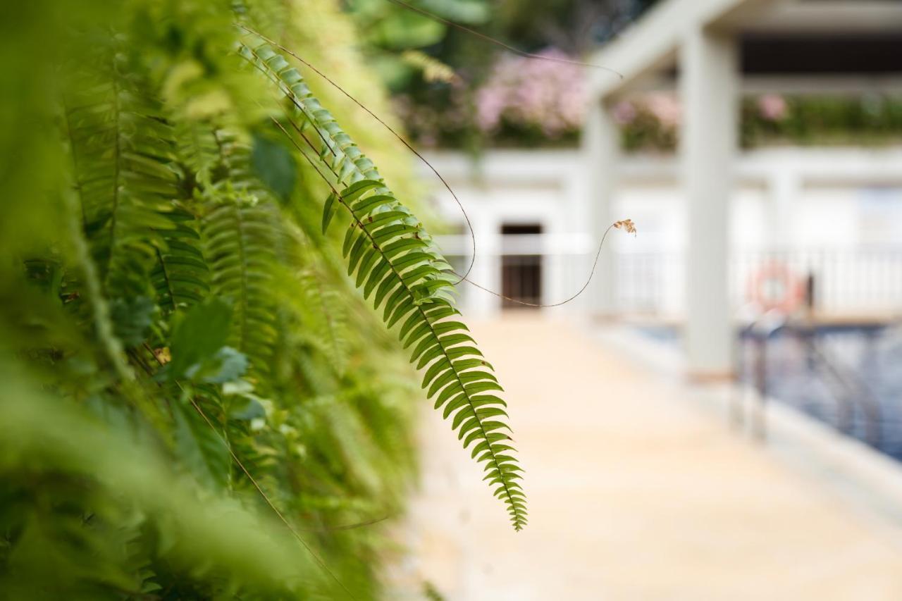 Munting Paraiso Resort